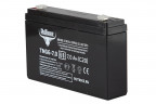 Тяговый гелевый аккумулятор RuTrike TNG 6-7.0 (6V7.0 A/H C20) в Уфе