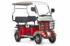 Пассажирский электротрицикл Rutrike Gelbert Hara в Уфе