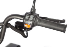 Пассажирский электротрицикл Wanshida LC300 Пассажирский электротрицикл Wanshida LC300