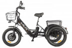 Электрофэтбайк Eltreco Green City e-ALFA Trike в Уфе
