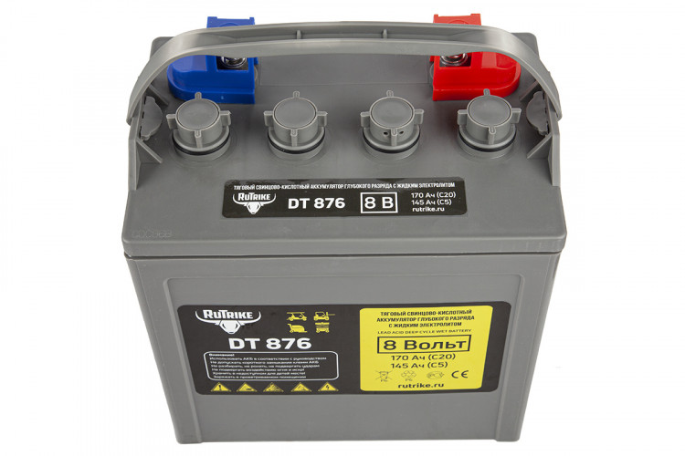 Тяговый аккумулятор RuTrike WET DT876 (T-875) 8V120A/H C3 в Уфе