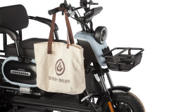 Электротрицикл Wanshida UN MOTO Электротрицикл Wanshida UN MOTO